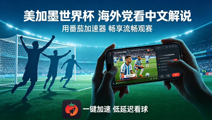 在越南看央视频世界杯直播当前地区不可播放教程